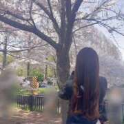 ヒメ日記 2025/05/07 10:44 投稿 そら ドンファン