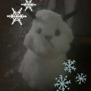 ヒメ日記 2025/03/05 18:34 投稿 みう 神田はっち