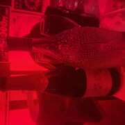 ヒメ日記 2025/03/25 18:06 投稿 みう 神田はっち