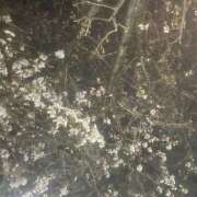 ヒメ日記 2025/03/30 22:46 投稿 みう 神田はっち