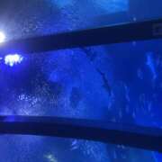 ヒメ日記 2025/06/19 18:09 投稿 みう 神田はっち