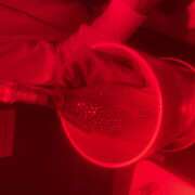 ヒメ日記 2025/08/16 10:28 投稿 みう 神田はっち