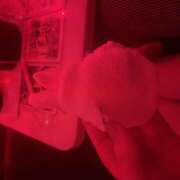 ヒメ日記 2025/08/19 15:22 投稿 みう 神田はっち