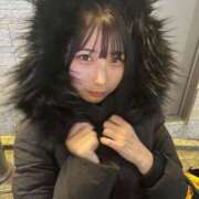 ヒメ日記 2025/02/09 12:05 投稿 よるは BLUE BIRD (ブルーバード) 上越