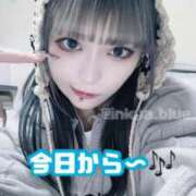 ヒメ日記 2025/02/15 09:16 投稿 かな某有名店実力NO1 風神会館新宿店