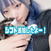 ヒメ日記 2025/02/19 20:30 投稿 かな某有名店実力NO1 風神会館新宿店