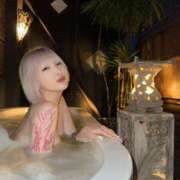 ヒメ日記 2025/02/14 22:47 投稿 みさ某有名店実力ランカー 風神会館新宿店