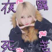 ヒメ日記 2025/02/26 00:52 投稿 みさ某有名店実力ランカー 風神会館新宿店