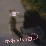 ヒメ日記 2025/03/08 03:33 投稿 Seika　セイカ XOXO Hug&Kiss 神戸店