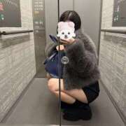 ヒメ日記 2025/03/14 04:36 投稿 Seika　セイカ XOXO Hug&Kiss 神戸店