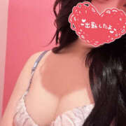 ヒメ日記 2025/03/25 21:33 投稿 Seika　セイカ XOXO Hug&Kiss 神戸店
