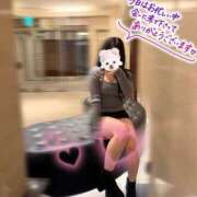 ヒメ日記 2025/03/29 02:12 投稿 Seika　セイカ XOXO Hug&Kiss 神戸店