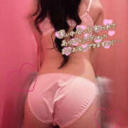 ヒメ日記 2025/04/01 04:06 投稿 Seika　セイカ XOXO Hug&Kiss 神戸店
