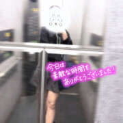 ヒメ日記 2025/04/20 06:33 投稿 Seika　セイカ XOXO Hug&Kiss 神戸店