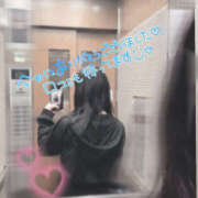 ヒメ日記 2025/04/23 03:03 投稿 Seika　セイカ XOXO Hug&Kiss 神戸店