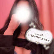 ヒメ日記 2025/04/23 15:51 投稿 Seika　セイカ XOXO Hug&Kiss 神戸店