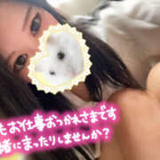 ヒメ日記 2025/05/29 16:00 投稿 Seika　セイカ XOXO Hug&Kiss 神戸店