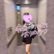 ヒメ日記 2025/06/11 01:12 投稿 Seika　セイカ XOXO Hug&Kiss 神戸店