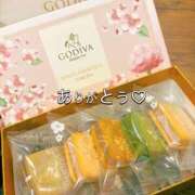 ヒメ日記 2025/03/26 00:56 投稿 めい★新垣結衣似の秋田美人★ Bell～S級美女お姉様・人妻デリヘル～