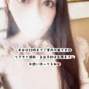 ヒメ日記 2026/02/16 08:15 投稿 あずさ ローテンブルク