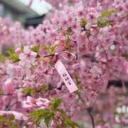 ヒメ日記 2026/03/03 09:12 投稿 あずさ ローテンブルク