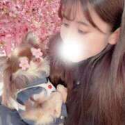 ヒメ日記 2026/03/14 08:15 投稿 あずさ ローテンブルク