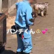 ヒメ日記 2026/03/25 08:15 投稿 あずさ ローテンブルク