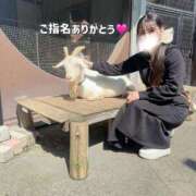 ヒメ日記 2026/03/27 01:26 投稿 あずさ ローテンブルク