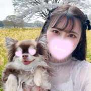 ヒメ日記 2026/03/31 11:39 投稿 あずさ ローテンブルク