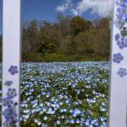 ヒメ日記 2025/08/10 17:03 投稿 みらい Blue Moon