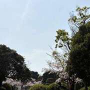 ヒメ日記 2026/04/03 17:39 投稿 ふたば Blue Moon