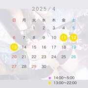 ヒメ日記 2025/04/10 22:28 投稿 りま One More 奥様　池袋店