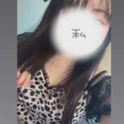 ヒメ日記 2025/04/15 11:00 投稿 りま One More 奥様　池袋店