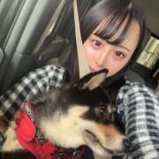 ヒメ日記 2026/04/03 16:20 投稿 めろ クラブハートDX