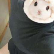 ヒメ日記 2025/04/13 13:03 投稿 きょうか HAND BITCH(ハンドビッチ)