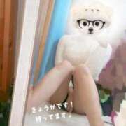 ヒメ日記 2026/02/21 16:32 投稿 きょうか HAND BITCH(ハンドビッチ)