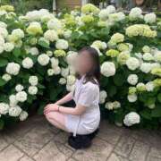 ヒメ日記 2025/02/05 00:17 投稿 はな 錦糸町ティラミス（シンデレラグループ）