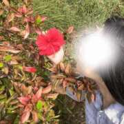 鈴鹿やよい お久しぶりです✈️ 渋谷ガーデン