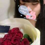 ヒメ日記 2026/01/31 20:50 投稿 つかさ プリコレ（PRINCESS COLLECTION）