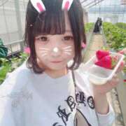 ヒメ日記 2026/05/12 21:29 投稿 つかさ プリコレ（PRINCESS COLLECTION）