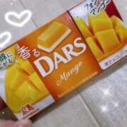 ヒメ日記 2025/08/25 16:04 投稿 のの 【オナクラ】HAND MAID（ハンドメイド） 梅田店