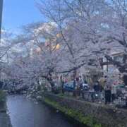 ヒメ日記 2025/04/08 07:30 投稿 源　れな プルプル京都性感エステ　はんなり