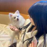 ヒメ日記 2025/03/27 09:54 投稿 こひな チューリップ福井本館