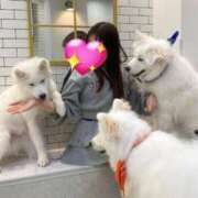 ヒメ日記 2025/05/12 22:16 投稿 こひな チューリップ福井本館