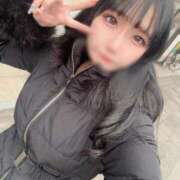 ヒメ日記 2025/03/27 08:34 投稿 こひな チューリップ福井別館