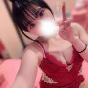 ヒメ日記 2025/07/15 09:24 投稿 こひな チューリップ福井別館