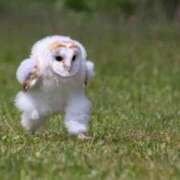 ヒメ日記 2026/04/03 20:30 投稿 みく ニュー不夜城