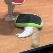 ヒメ日記 2025/05/28 07:48 投稿 はるな りんくう泉佐野ちゃんこ