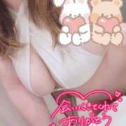 はるな 感謝♡ りんくう泉佐野ちゃんこ