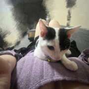 ヒメ日記 2025/02/23 13:51 投稿 ことか りんくう泉佐野ちゃんこ